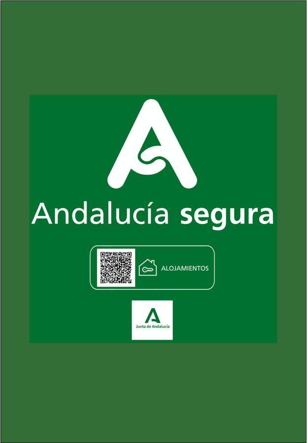 Holidays2Malaga Heredia 3 bedroom opposite Malaga Port Exteriör bild